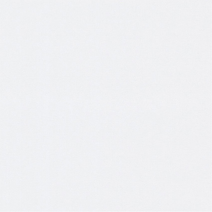 Tela Blackout Plain XL Fossil