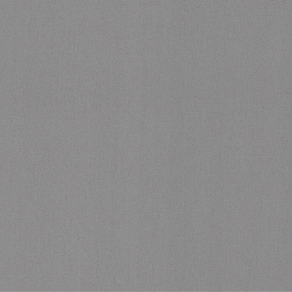 Plain XL Dust