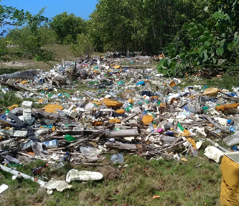 Zona verde llena de deshechos en Santo Domingo