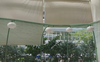 estor-enrollable-instalados-en-restaurante-por-blinds-company