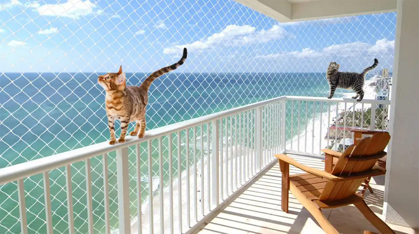 malla-de-seguridad-de-nylon-protegiendo-a-las-mascotas-en-un-balcon